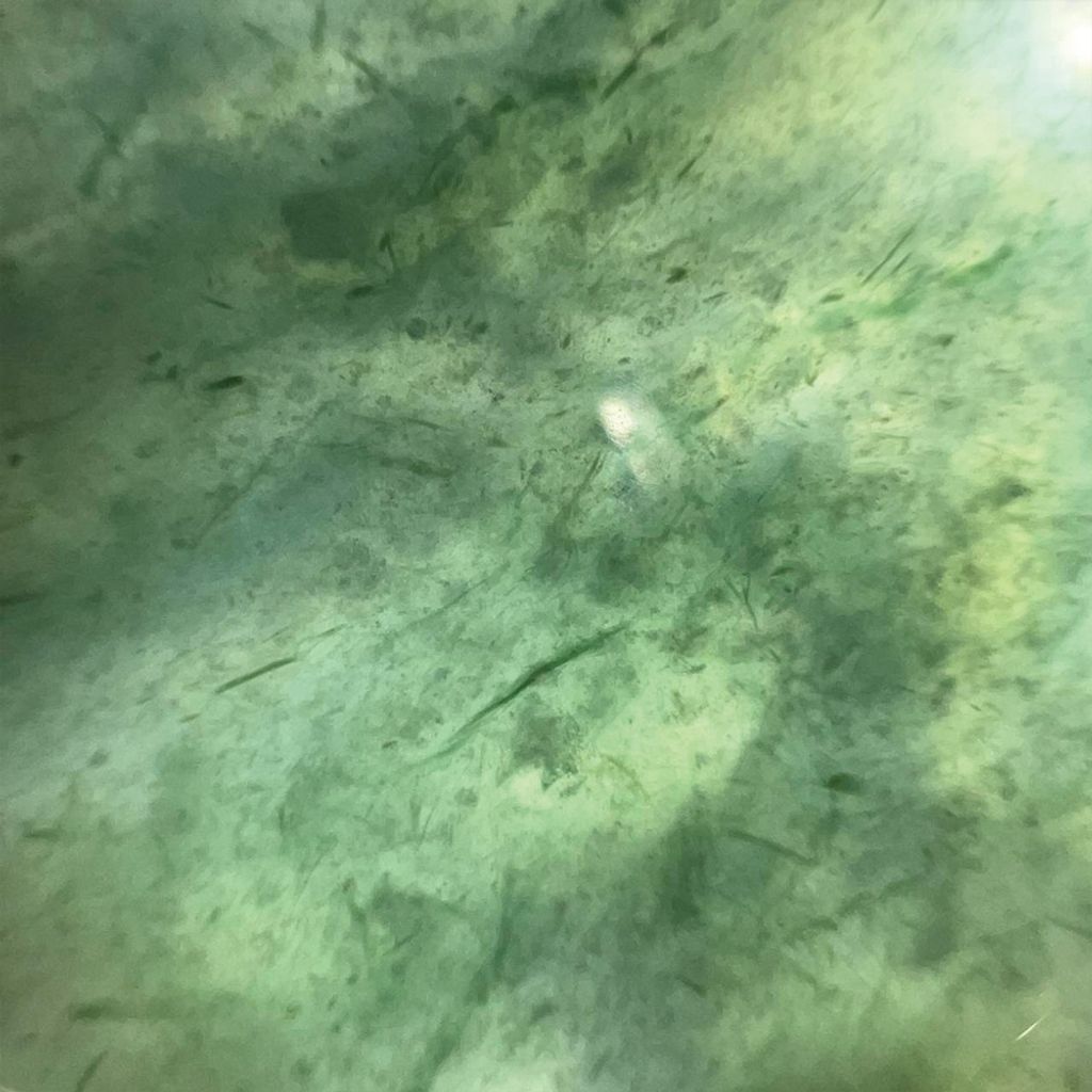 tw-11134207-7ra0l-mdcyivm352yoe5