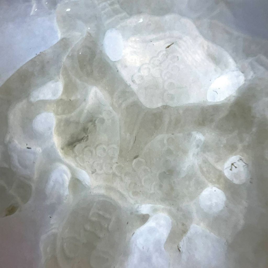 tw-11134207-7ra0t-mdcwmp64x4hrd2