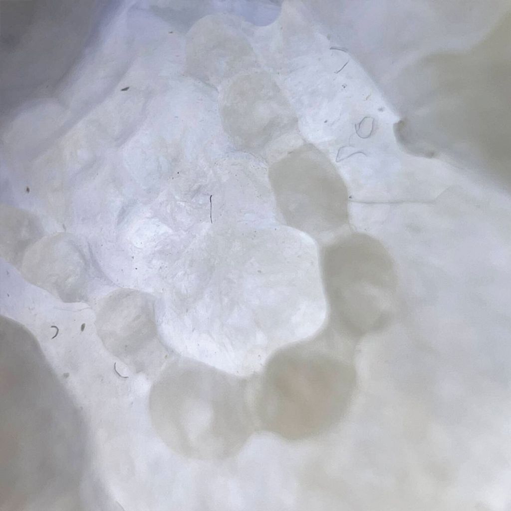 tw-11134207-7ra0n-mdcuutr3yfcvf0