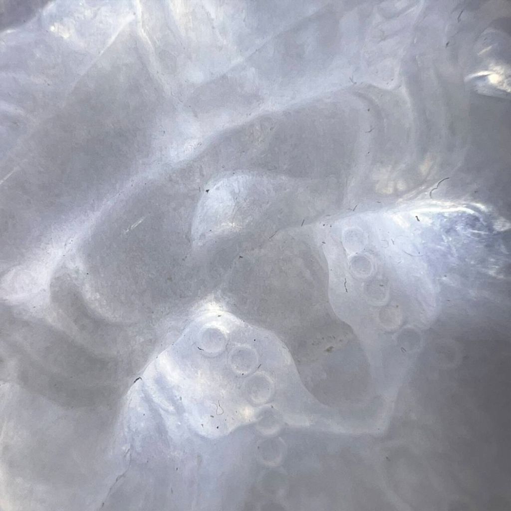 tw-11134207-7ra0m-mdcx35u1o0e78f