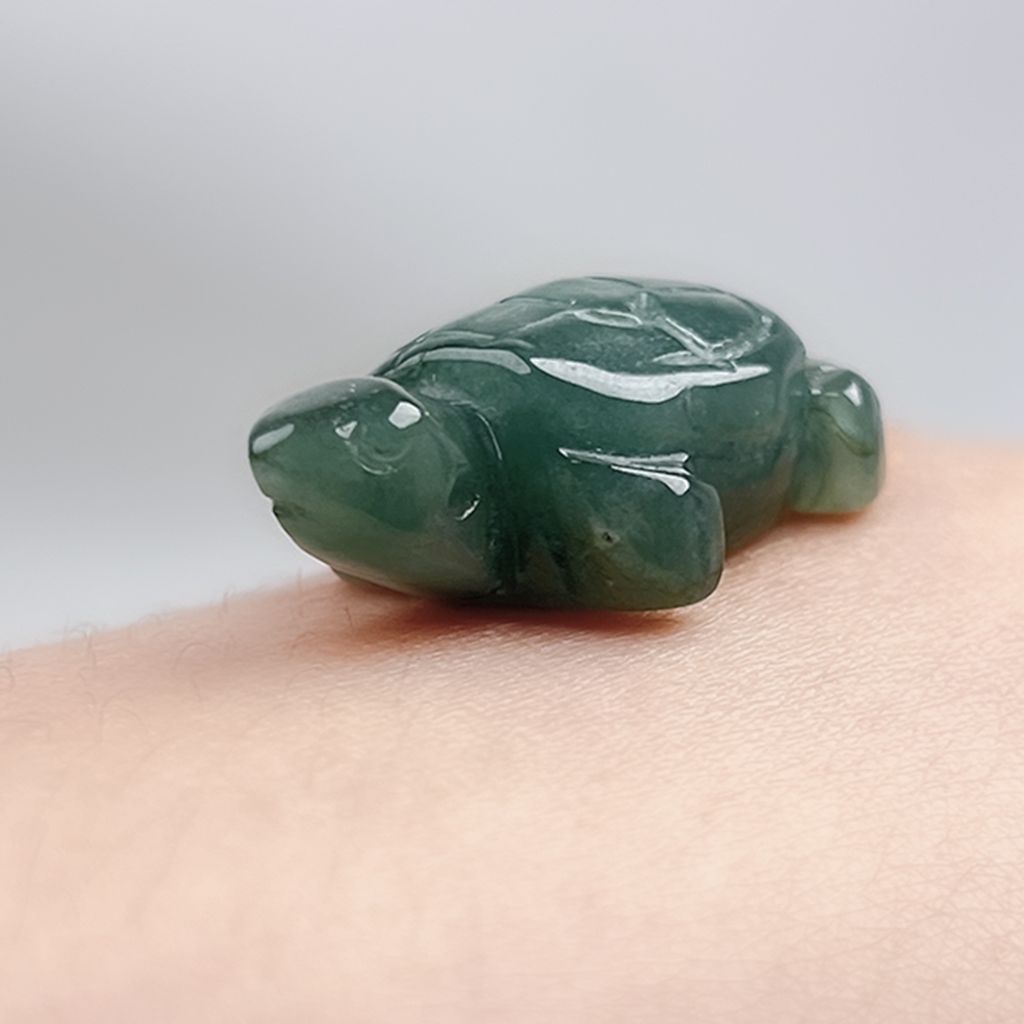 tw-11134207-81zth-miecakavtzi9af