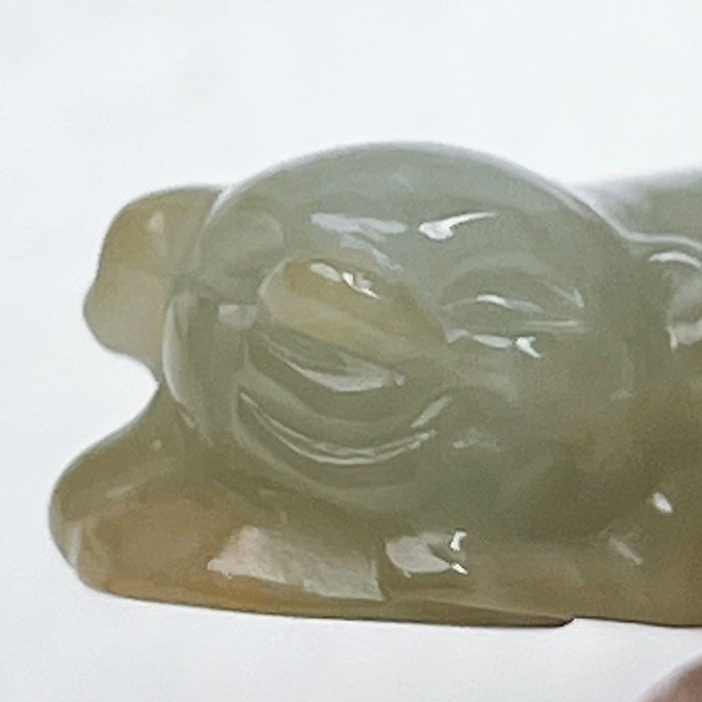 tw-11134207-81ztc-miecp58yusxw5c