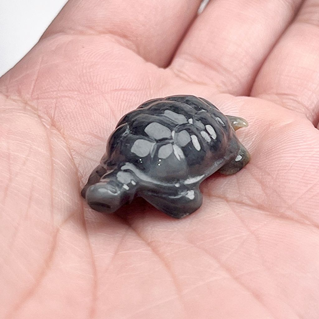 tw-11134207-81zti-miec4oov0xdzb6