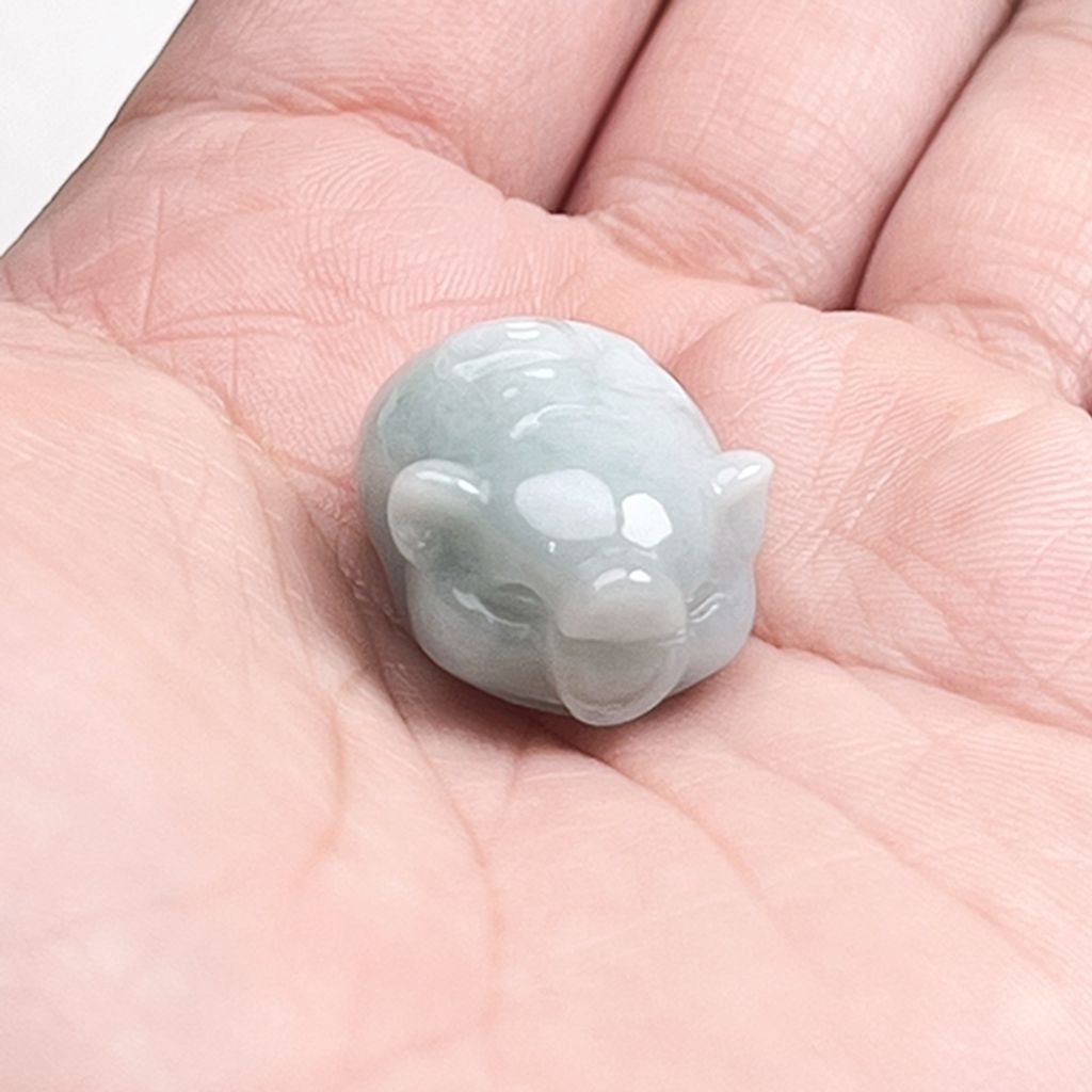 tw-11134207-81ztg-miecxe21s35v05