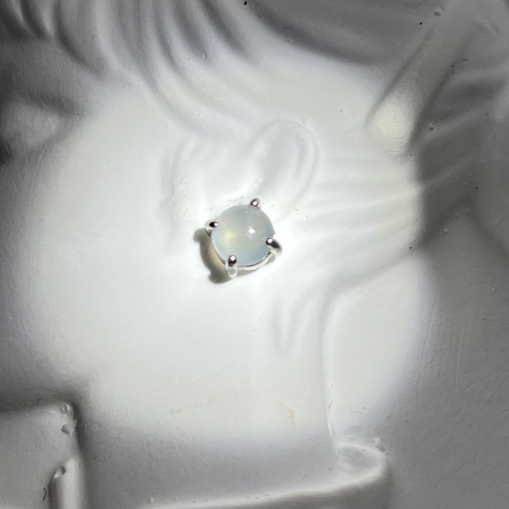 tw-11134207-81ztd-mjjo4ytjd69y09