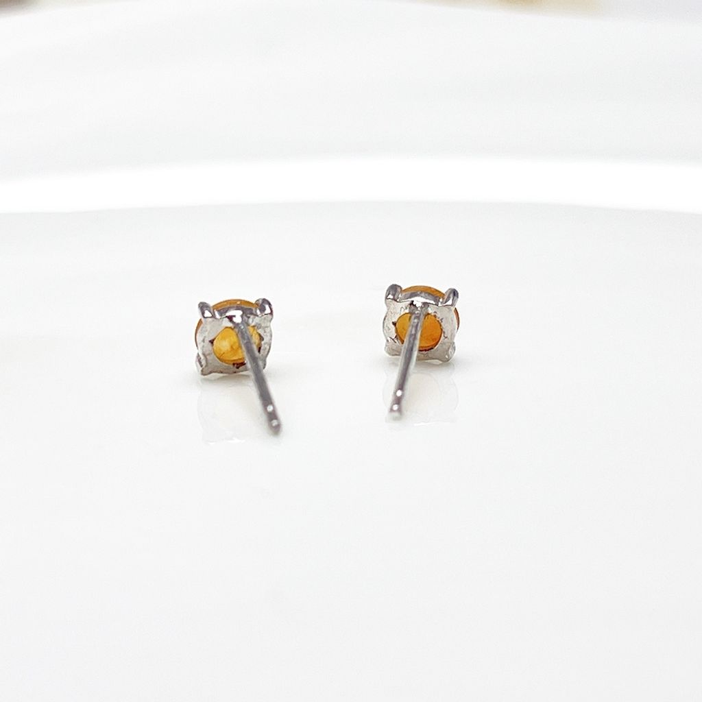 tw-11134207-81ztn-mjjnrqsvikn7f0