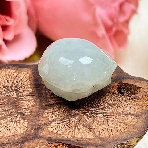 tw-11134207-81ztp-mjzaebcppw5ec5