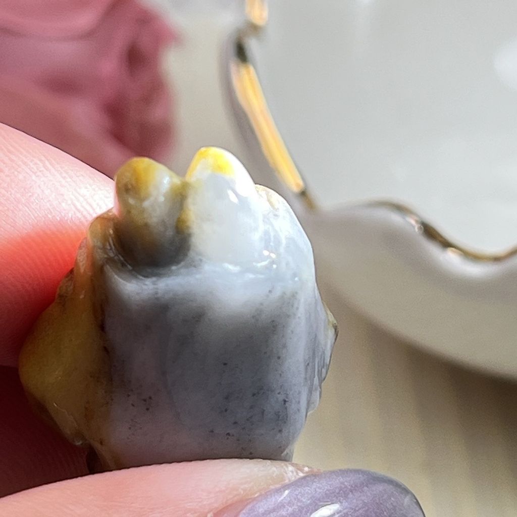 tw-11134207-81zti-mjz74k3m8glka1