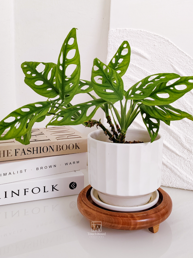 IMG_20250627_112612-copy