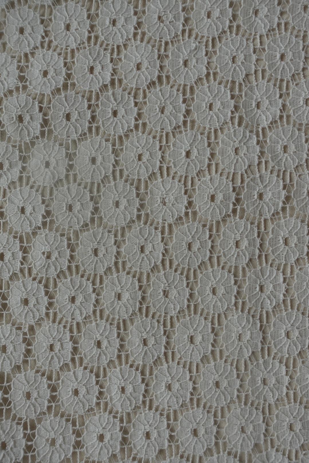 image_62D55F1A-3C93-488E-B290-470AB774617A_1771341376