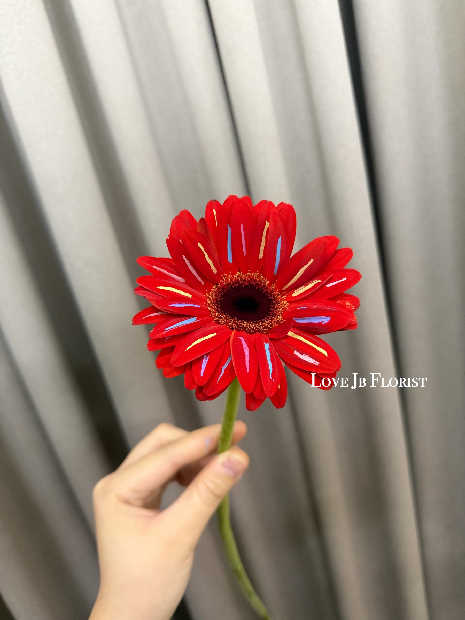 image_1C766C18-A79B-44BA-8AEE-5175735A5B23_1768880085