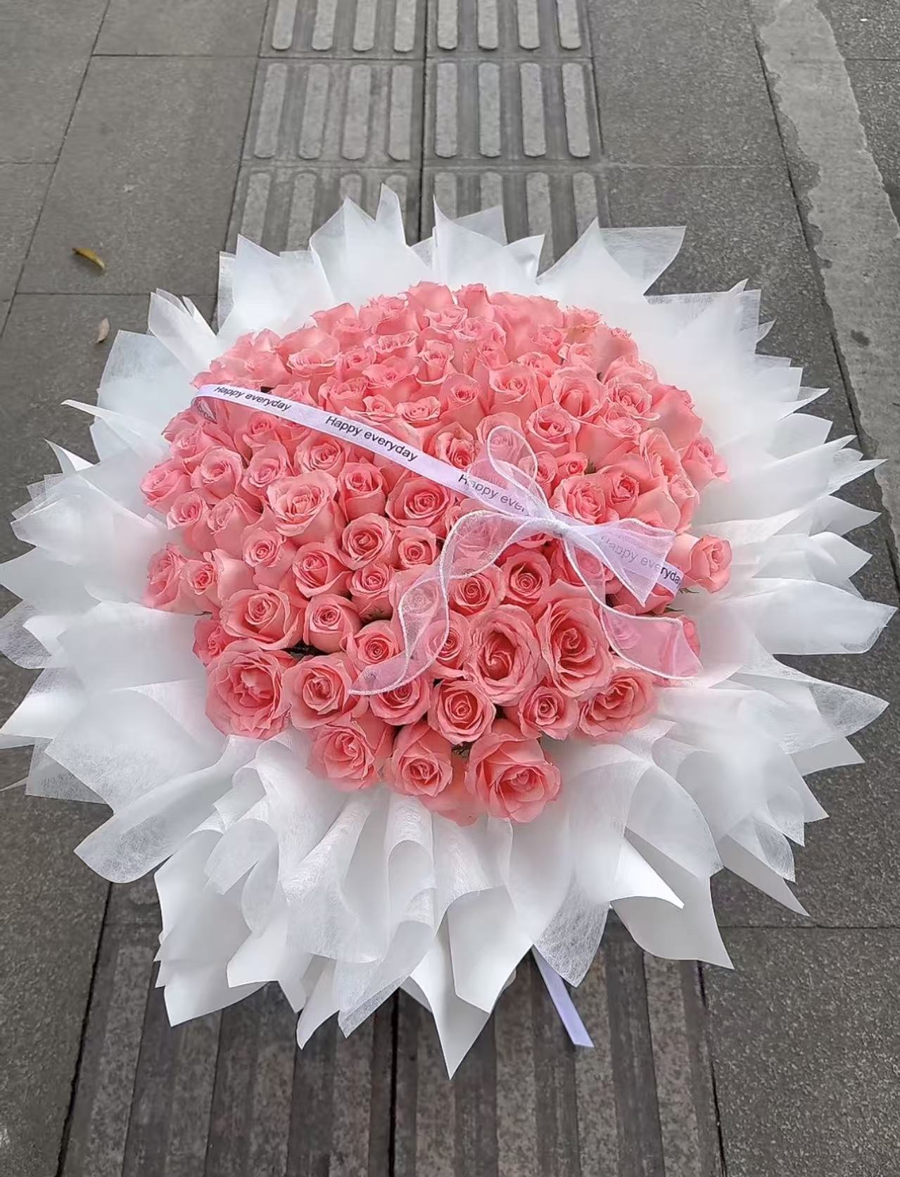 image_3674E4E4-CEE0-44C7-A1B8-6B4D1E145851_1770098060