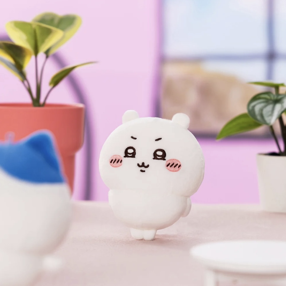 IMG_6032-1743675372665