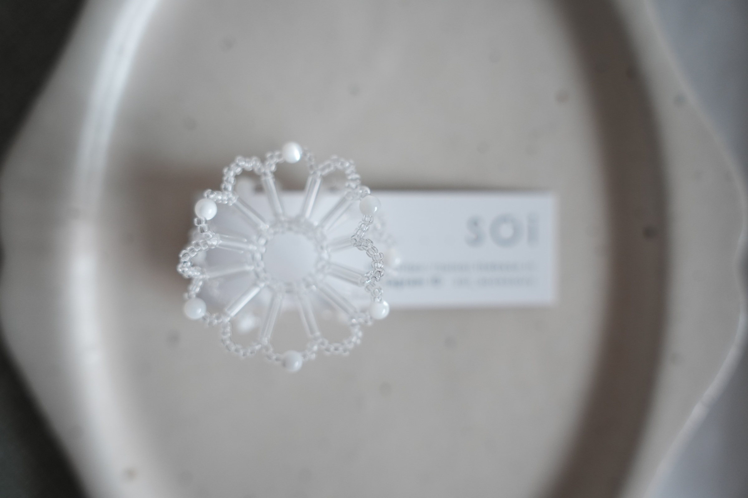 image_17E1D255-ABBA-4DBB-BBE6-BFF056C389E1_1764944725