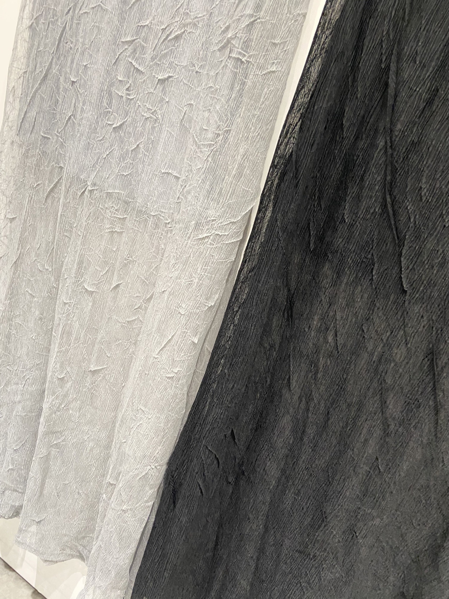 S__169762825_0