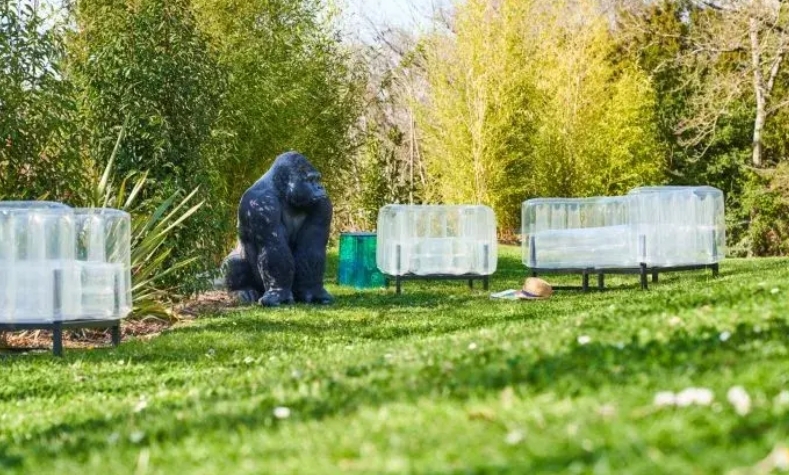 Screenshot_20240304-120555