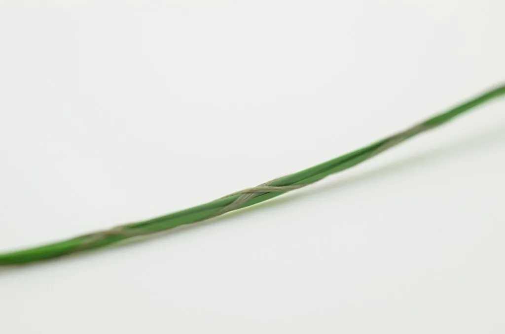 荷蘭皇家草-5