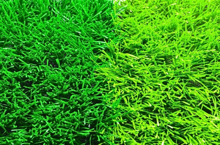 FIFA qulaity pro專業足球草