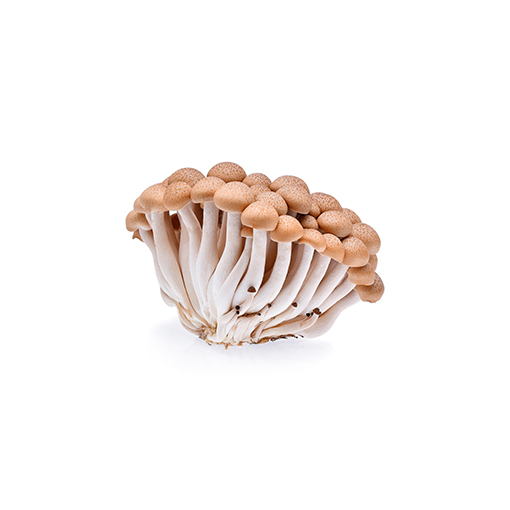 Shimeji-Mushroom-Brown