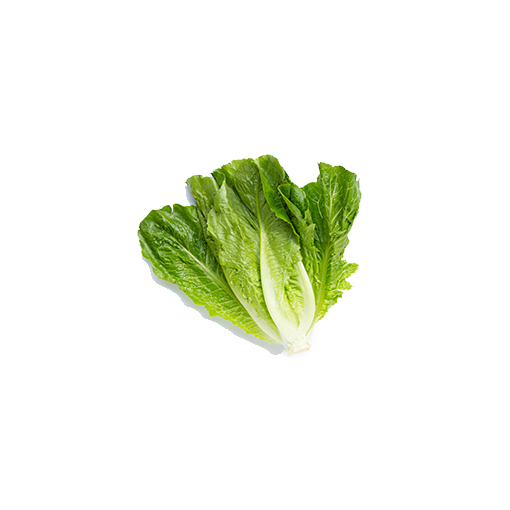 Lettuce-Romaine