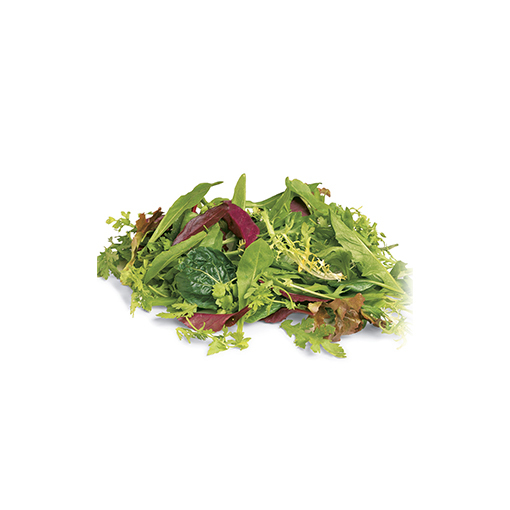 Lettuce-Mesculin-Mix-Salad