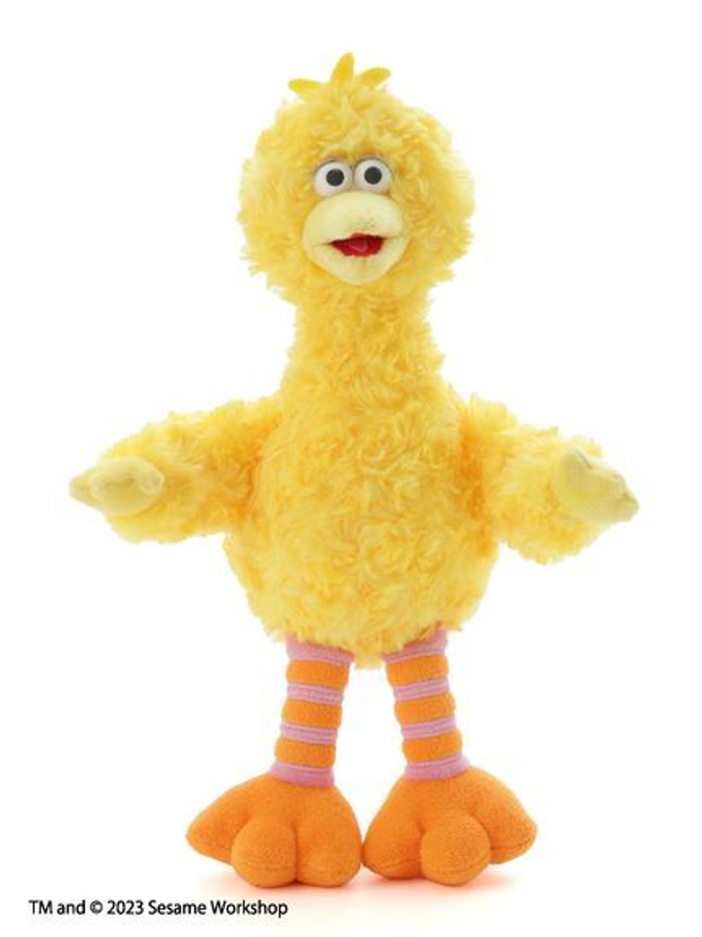 SSMULG239005_c_032_L