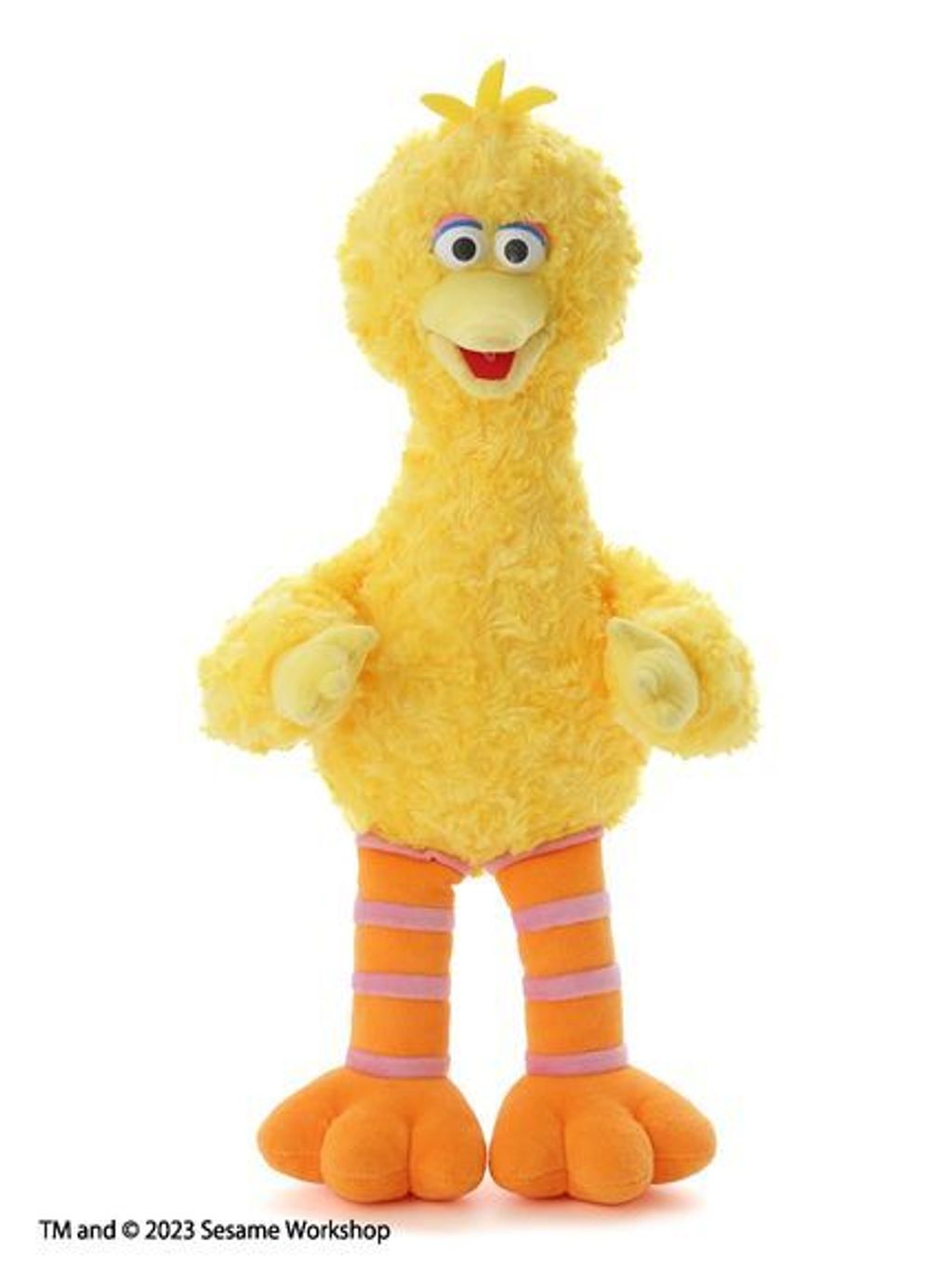 SSMULG239014_c_032_L