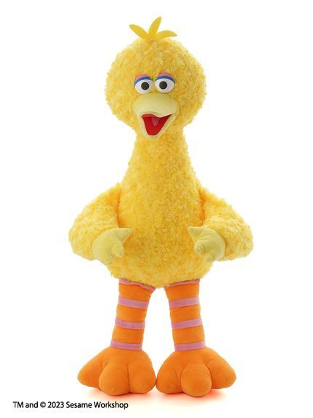 SSMULG239019_c_032_L