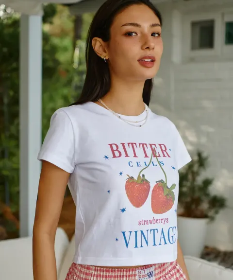 detail_4085057_17141136845572_big