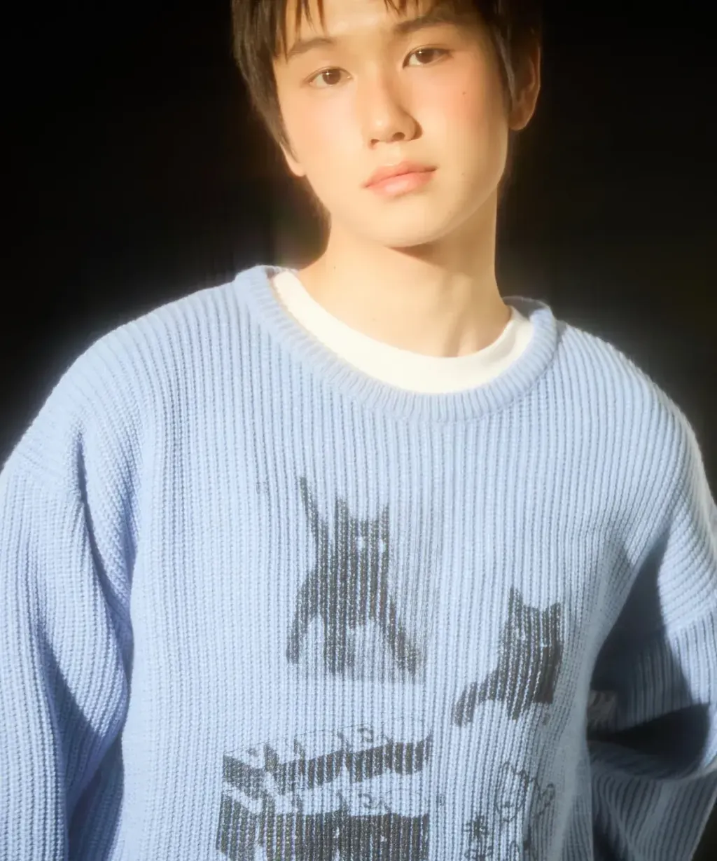 detail_5352607_17586820154293_big