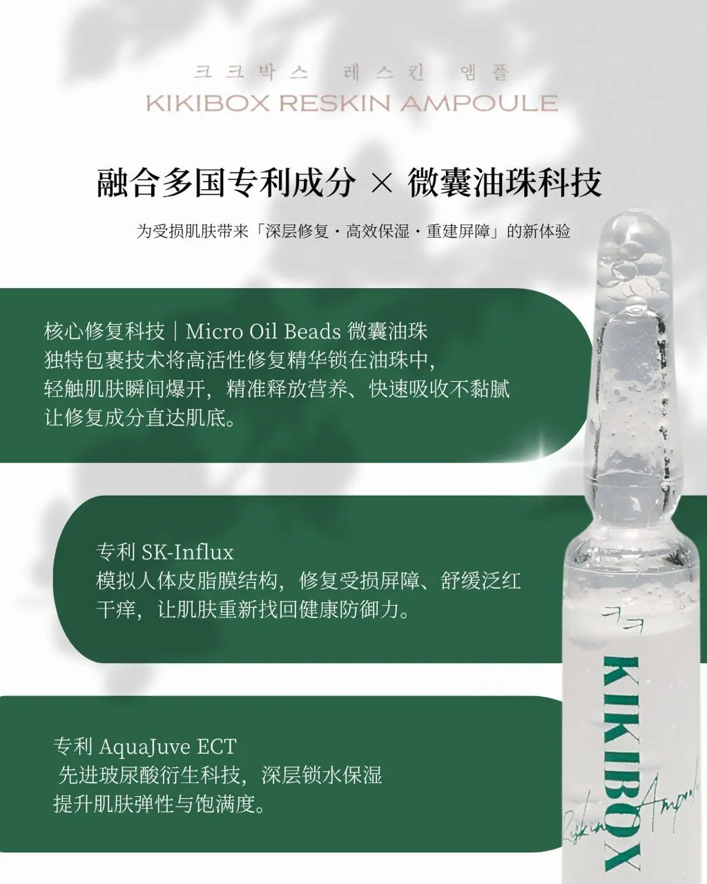 WhatsApp Image 2025-11-10 at 12.25.18 AM (1)