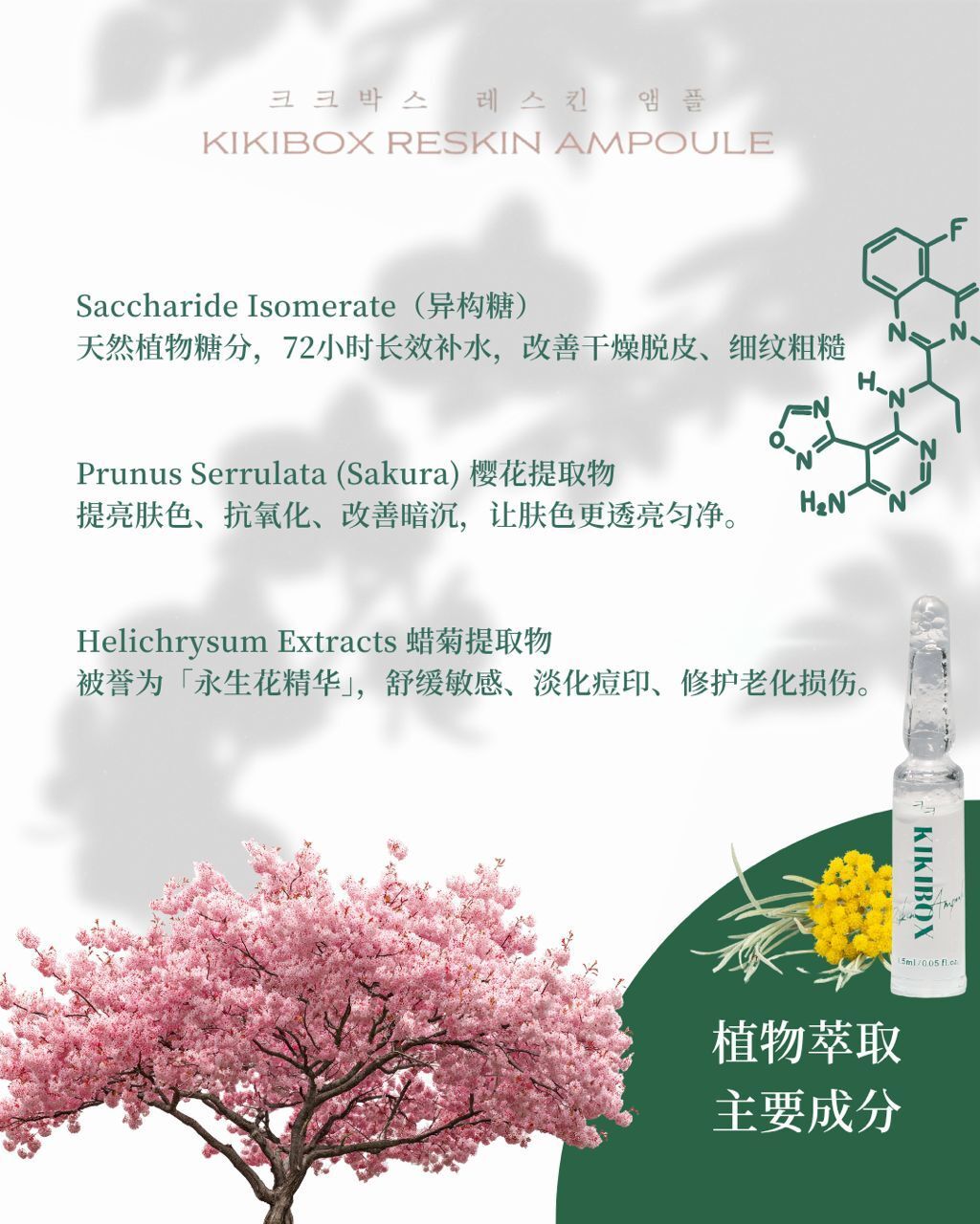 WhatsApp Image 2025-11-10 at 12.25.18 AM (2)