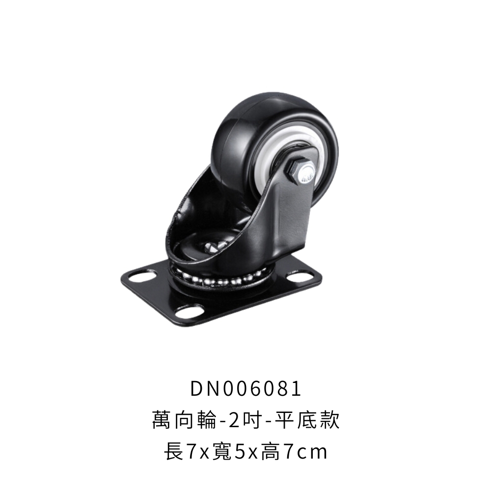 DN006081