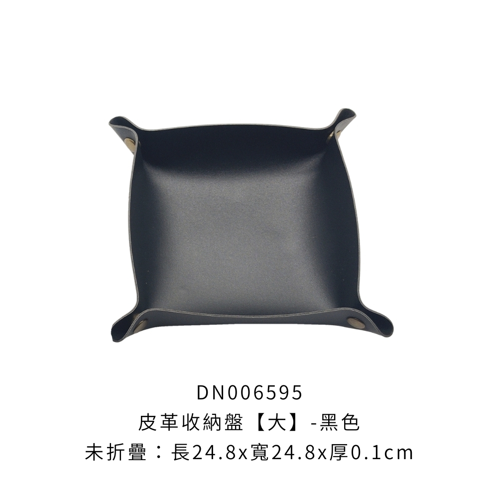DN006595