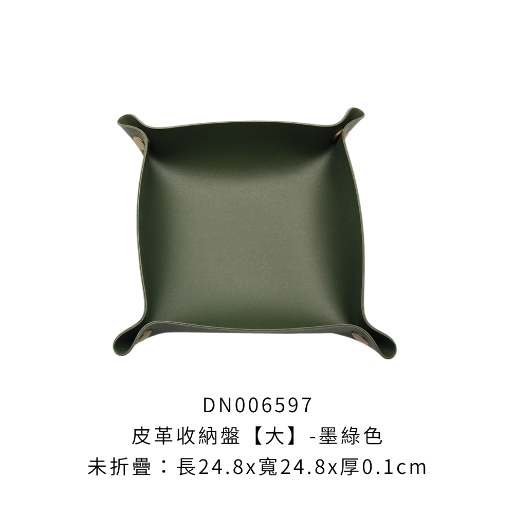 DN006597