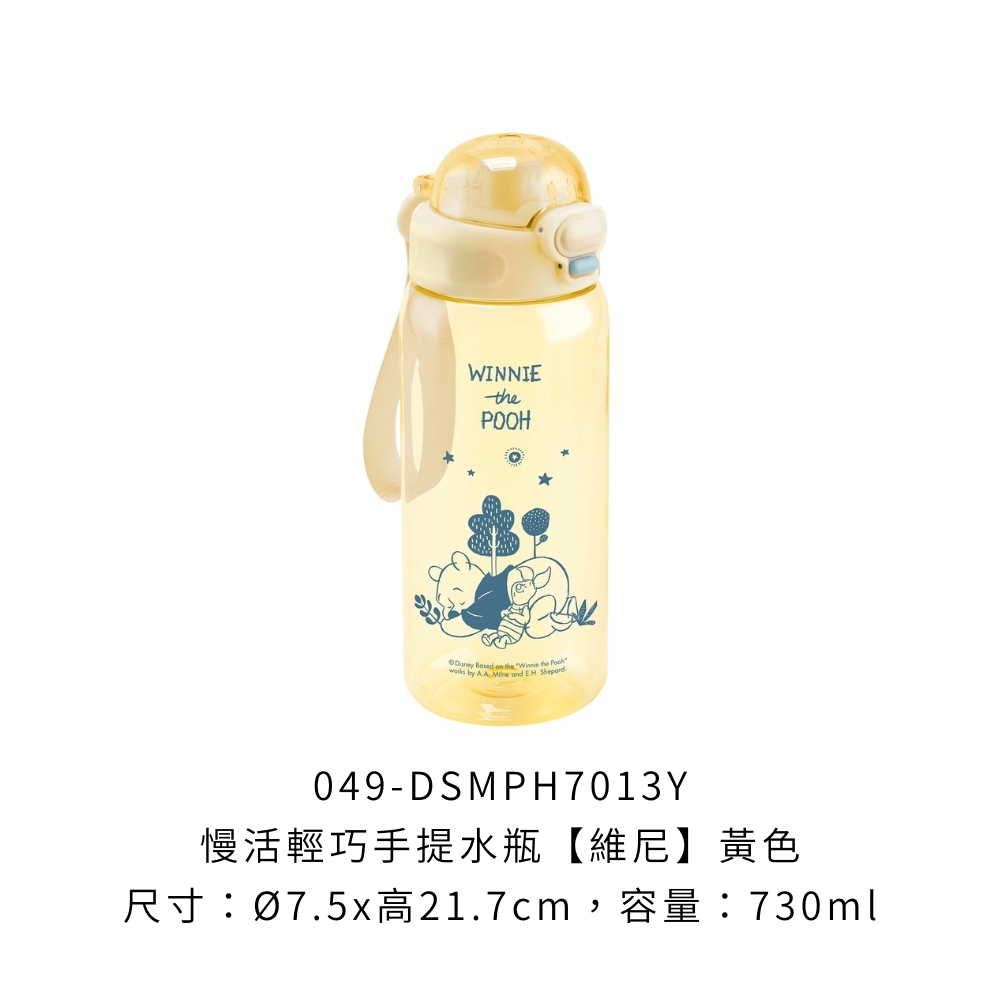 049-DSMPH7013Y