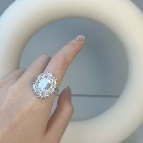 image_136CFFF5-0889-4135-B214-BBDC60877BF3_1766659993