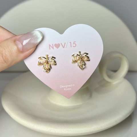 image_2C99D708-53D8-4F58-8E49-D03DE41AC1F4_1767008409