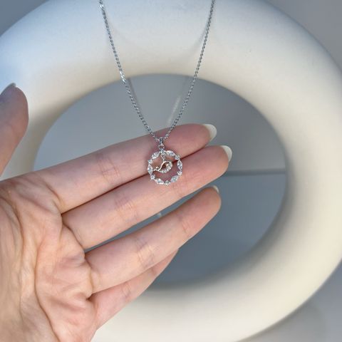 image_665A5FB2-3C67-4FB8-824E-E1C63FA6D899_1767094168