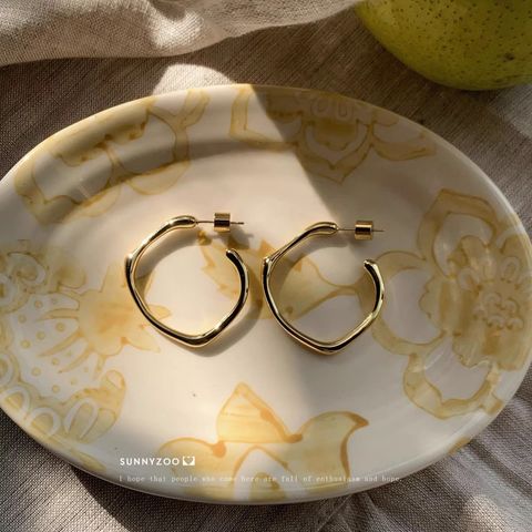 image_AA6490B6-EE22-4FED-AE37-029B1750F085_1768474958