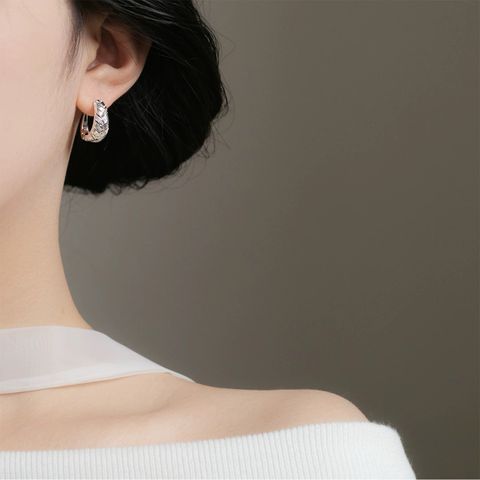 image_512A68B2-799E-4506-BBB8-68444C5BFA37_1769425210