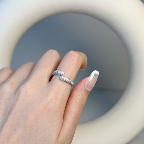 image_DD0EC014-A0F8-41B2-83D9-0B5462100675_1770376392