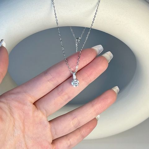 image_E32B9D69-FDE8-4D16-A962-8385EE8C0F21_1770728365