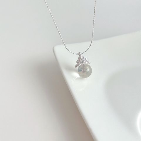 image_1981FCF4-B993-475D-B884-4DA7880EEDAF_1770886861