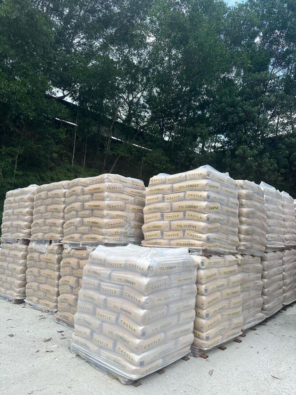 WhatsApp Image 2024-04-16 at 4.35.50 PM