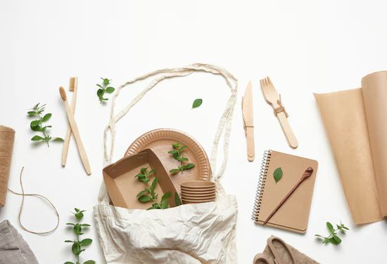 ECO-CONSCIOUS | EcoZen Zone