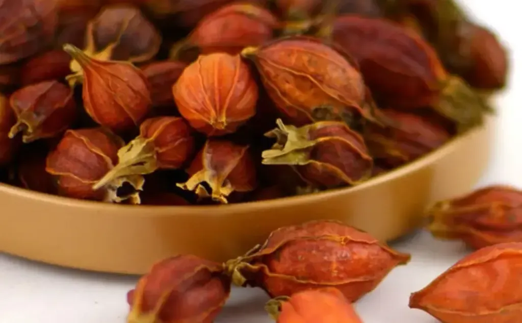 栀子婴儿退黄沐浴