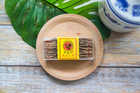 珍品冬虫夏草Precious Cordyceps – Tangherbal