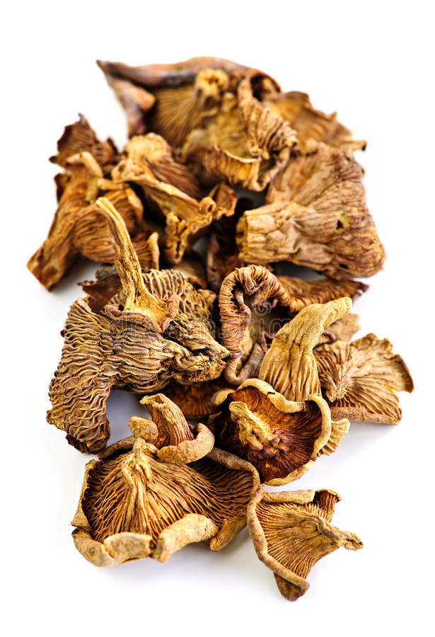 干黄金菇1
