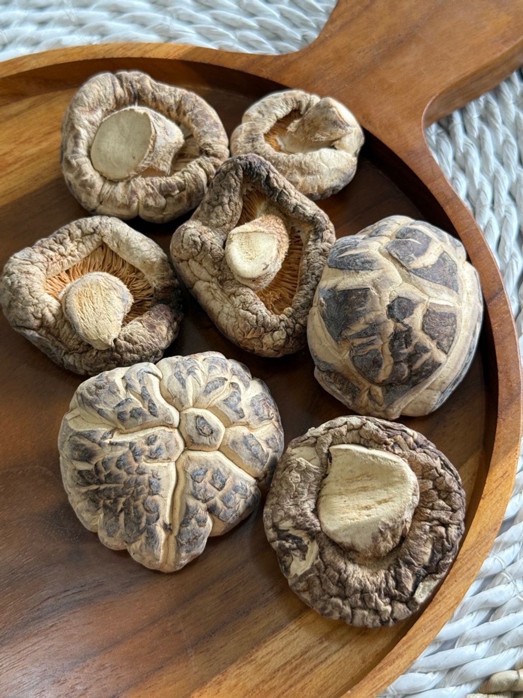 E714F0B2-1C70-4318-8A48-D16A1265F52E_1_105_c